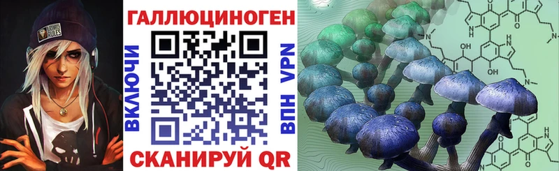Галлюциногенные грибы Cubensis  купить  цена  Волчанск 